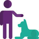 Experienced Professionals